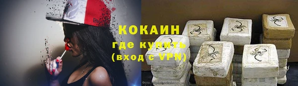 индика Абинск