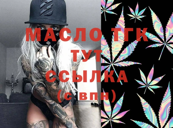 индика Абинск