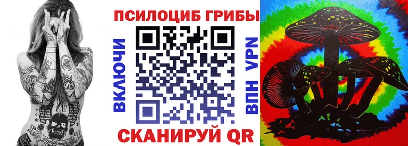 Галлюциногенные грибы Psilocybe  где найти   Карасук 