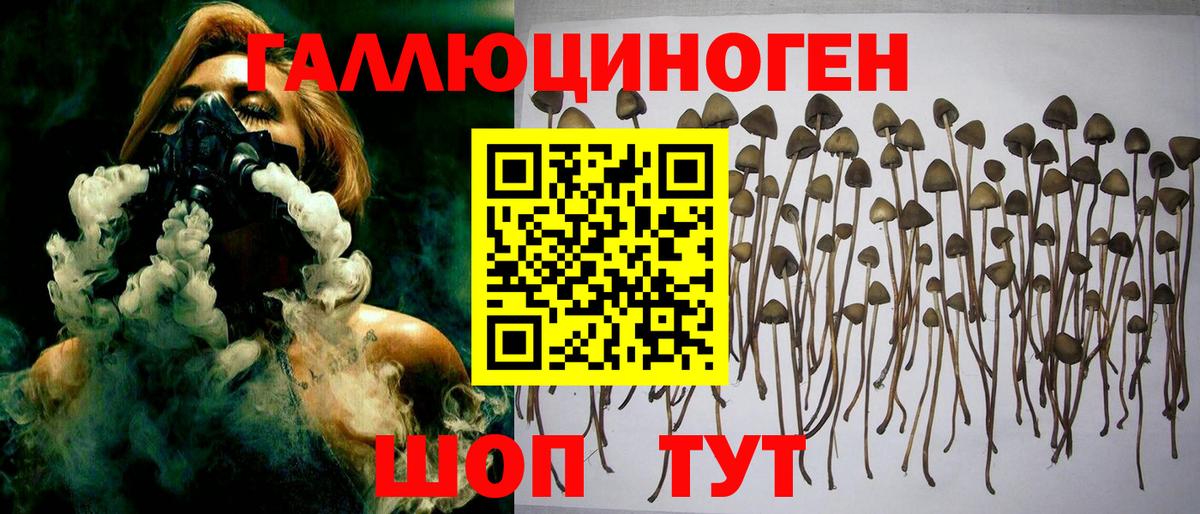 Галлюциногенные грибы GOLDEN TEACHER Карасук
