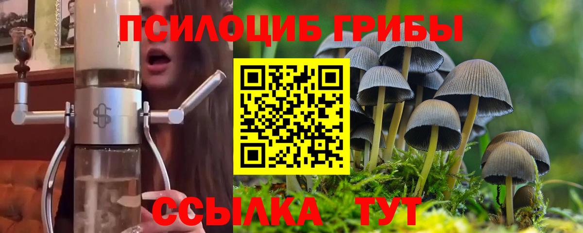 Псилоцибиновые грибы ЛСД  Вход с VPN  как найти   Карасук 