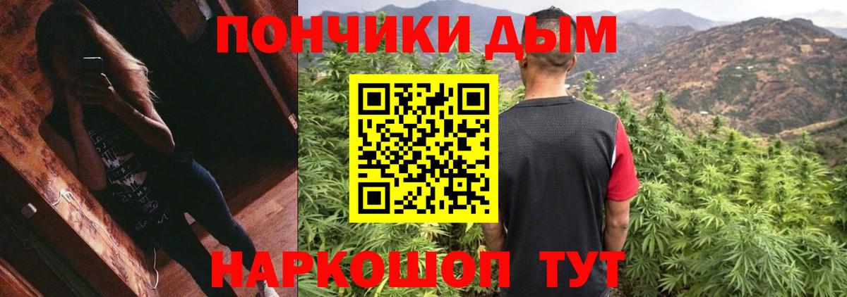 Канабис OG Kush Карасук