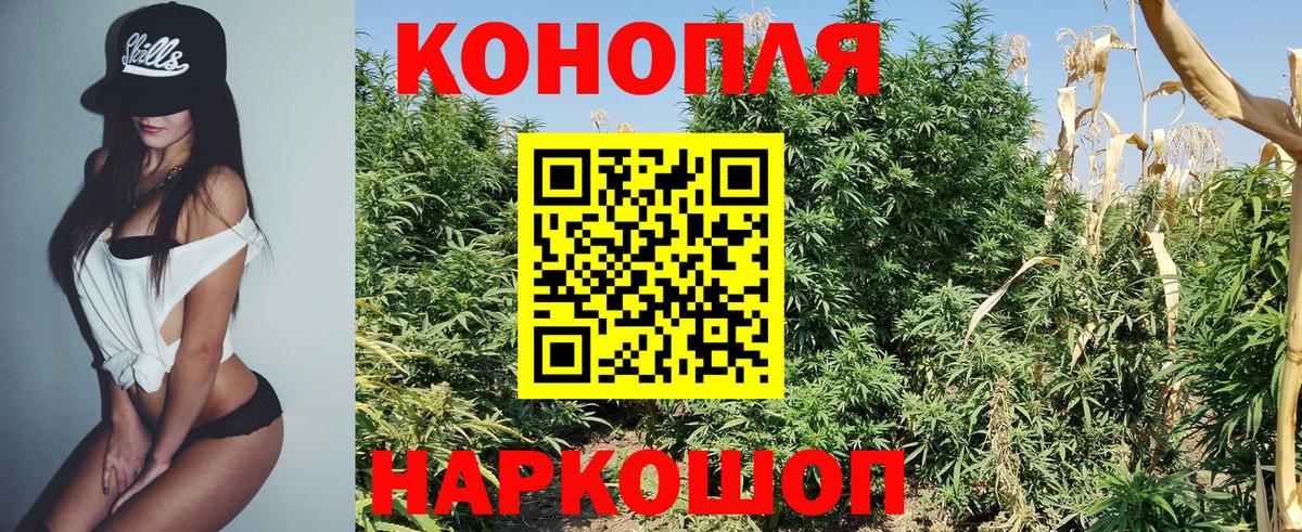Каннабис план  Вход с VPN  Каннабис OG Kush  Бошки Шишки MAZAR  Карасук 